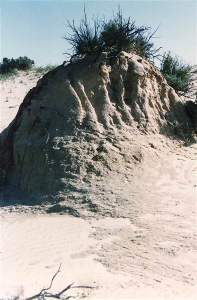 Milkengay Lake Sand Dunes (7/03/2013 11:03:44 PM)