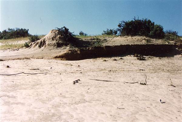 Milkengay Lake Sand Dunes (7/03/2013 11:04:32 PM)