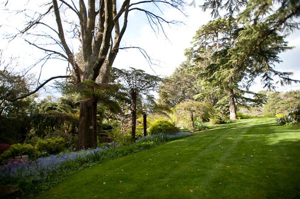 Milton Park Country House Hotel & Spa (7/03/2013 11:35:17 PM)