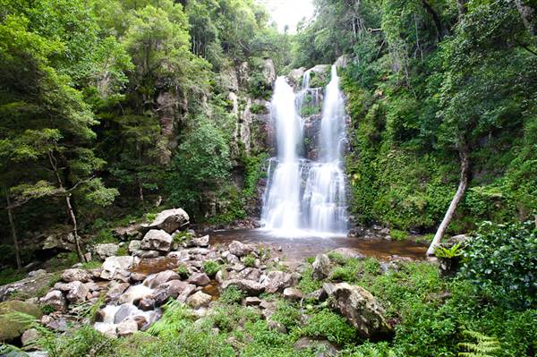 Minnamurra Falls (7/03/2013 11:41:22 PM)