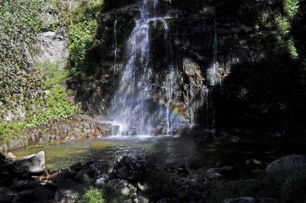 Minnamurra Falls (7/03/2013 11:43:09 PM)