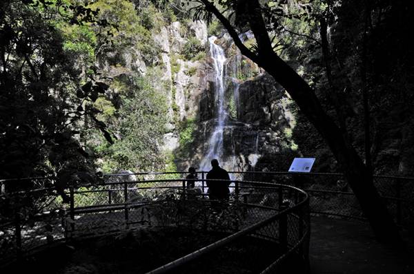 Minnamurra Falls (7/03/2013 11:43:57 PM)