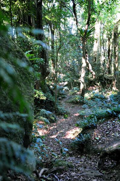 Mount Keira Scout Camp File 1 (8/03/2013 10:04:57 AM)