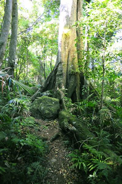 Mount Keira Scout Camp File 1 (8/03/2013 10:05:17 AM)