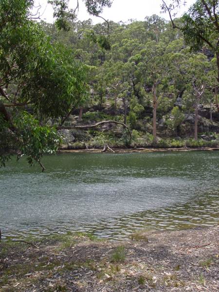 Royal National Park (8/03/2013 1:39:47 PM)