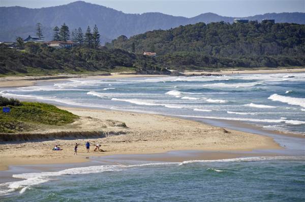 Sawtell (8/03/2013 3:00:44 PM)