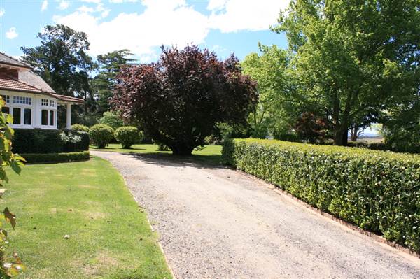 Petersons Armidale Winery & Guesthouse (9/03/2013 1:10:06 AM)