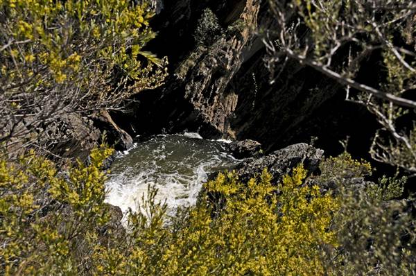 Tia Falls (9/03/2013 1:15:34 AM)