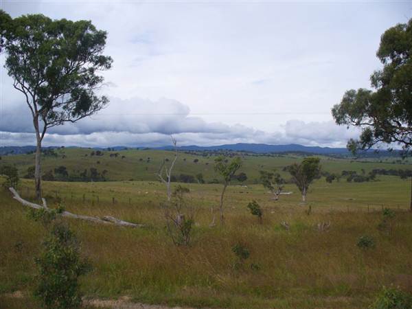 Wollomombi Gorge (9/03/2013 1:31:54 AM)