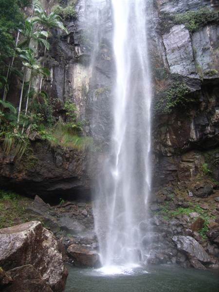 Terania Creek picnic area & Protesters Falls walking track (9/03/2013 1:40:26 AM)