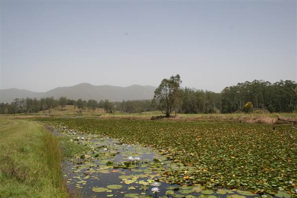 Clarrie Hall Dam (9/03/2013 1:55:42 AM)
