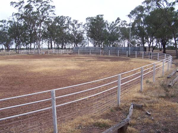 West Wyalong Rodeo Grounds (9/03/2013 11:15:23 AM)