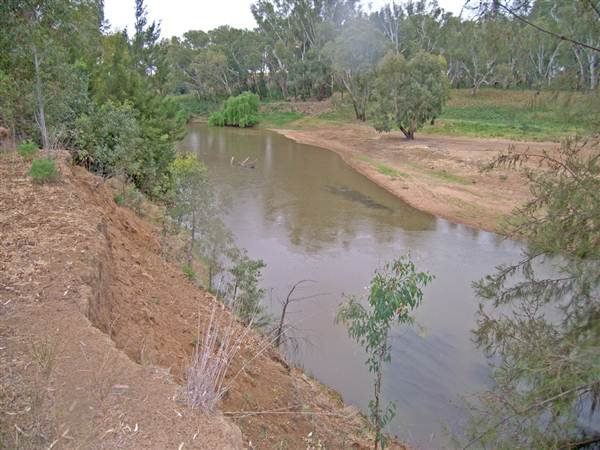 Whylandra Crossing, Dubbo (9/03/2013 11:18:24 AM)
