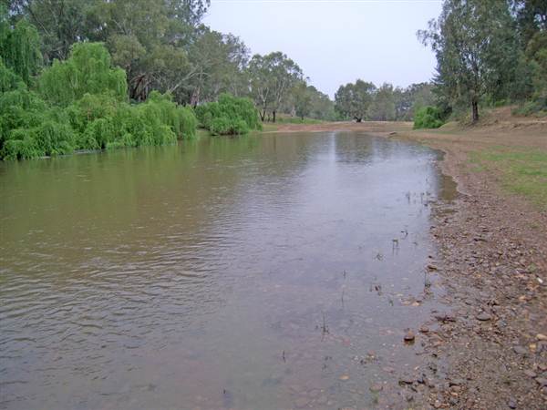 Whylandra Crossing, Dubbo (9/03/2013 11:18:42 AM)