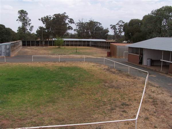 West Wyalong Racetrack and Showgrounds (9/03/2013 11:19:51 AM)
