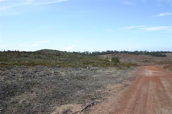 Penrose State Forest - Southern Highlands (9/03/2013 8:04:22 PM)