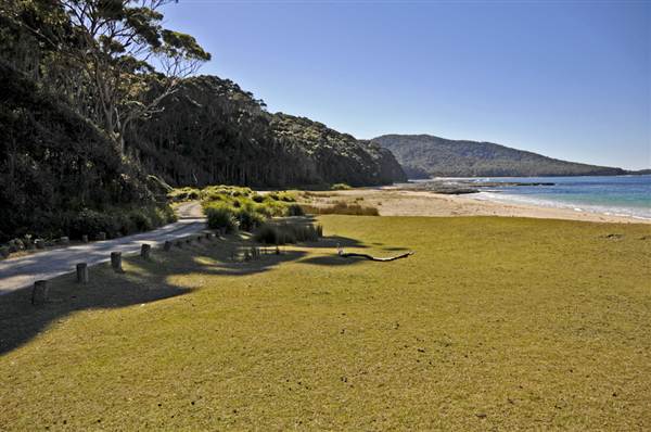 Pebbly Beach (9/03/2013 8:04:53 PM)