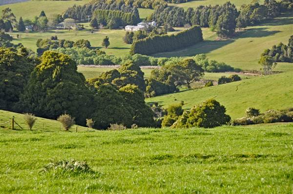 Robertson - Southern Highlands (9/03/2013 8:12:03 PM)