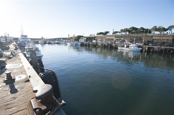 Wollongong Harbour (10/03/2013 12:52:39 PM)