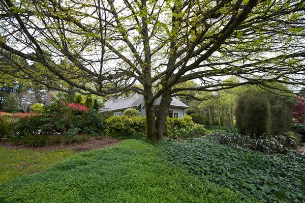 Parklands Country Garden & Lodges (10/03/2013 2:38:54 PM)