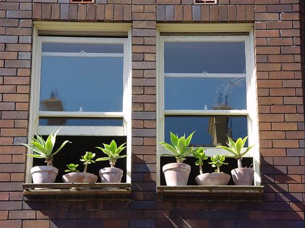 Apartment Buildings in Potts Point (10/03/2013 2:53:21 PM)