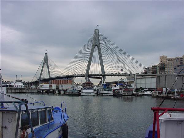 Sydney Fish Market (11/03/2013 5:16:27 AM)