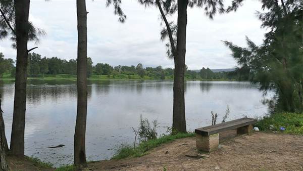 Yarramundi Reserve South (11/03/2013 11:02:34 AM)