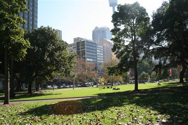 Hyde Park and Archibald Fountain - Sydney CBD (11/03/2013 1:07:35 PM)