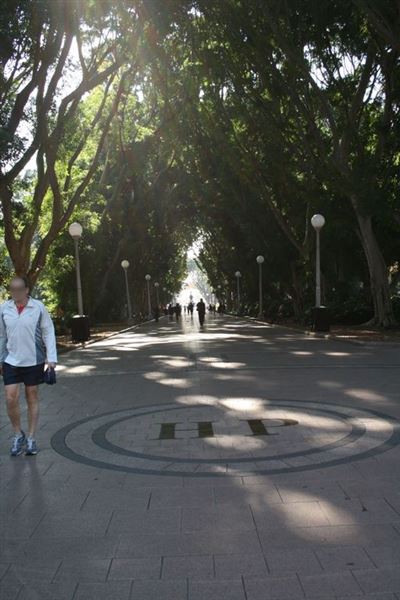 Hyde Park and Archibald Fountain - Sydney CBD (11/03/2013 1:09:01 PM)