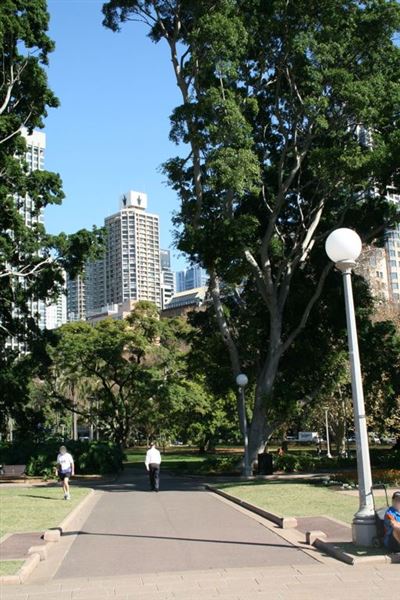 Hyde Park and Archibald Fountain - Sydney CBD (11/03/2013 1:10:01 PM)