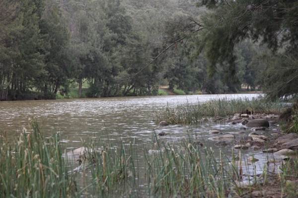Wollondilly River Station (11/03/2013 2:59:03 PM)