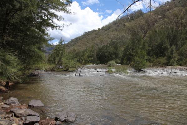 Wollondilly River Station (11/03/2013 3:02:50 PM)