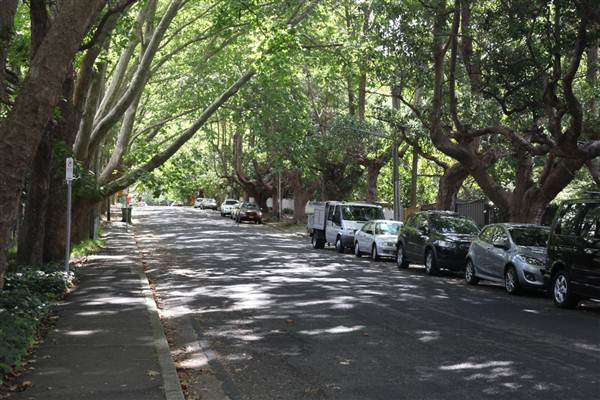 Water St - Pymble (13/03/2013)