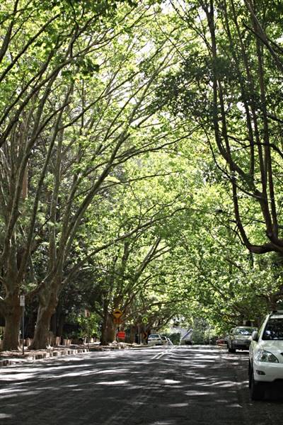 Water St - Pymble (13/03/2013)