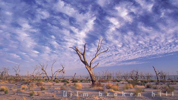Broken Hill (24/04/2013)