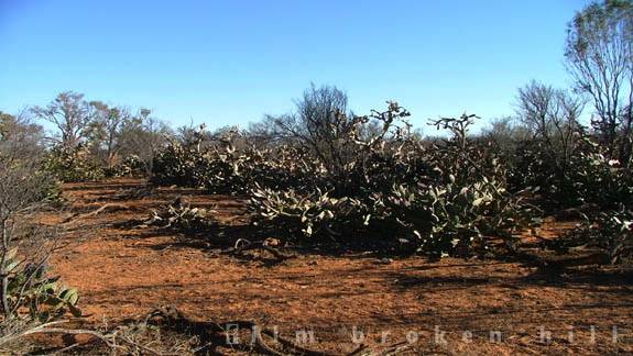 Broken Hill (24/04/2013)