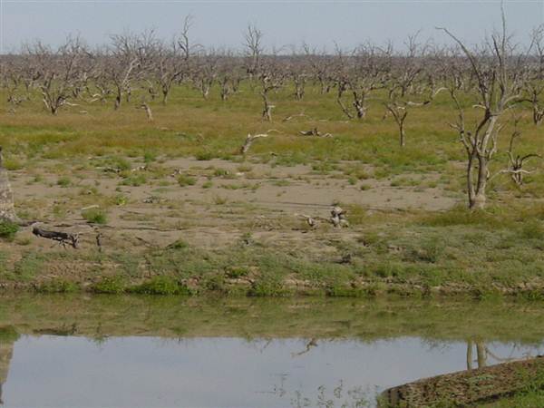 Broken Hill (24/04/2013)