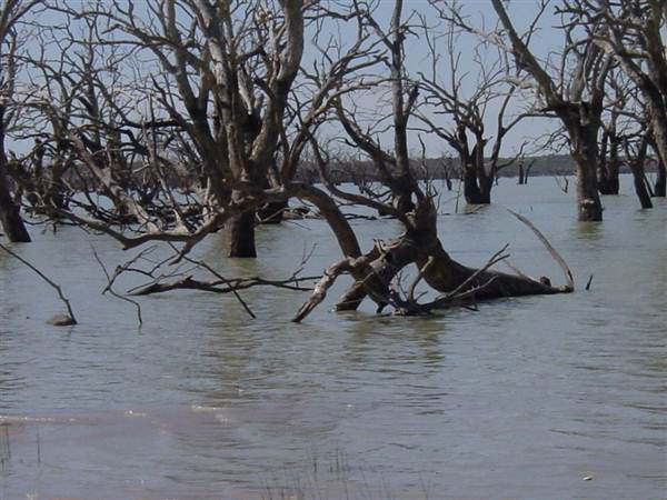 Broken Hill (24/04/2013)