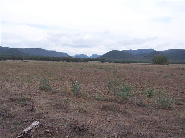 Baradine to Coonabarabran road (26/04/2013)