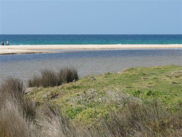 Shellharbour - The Shallows Coastal Reserve - Shellharbour South Beach (15/09/2011 - Credits: Tony Brown /SISE)