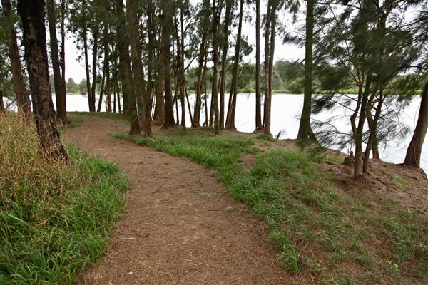Yarramundi Reserve (17/07/2013)