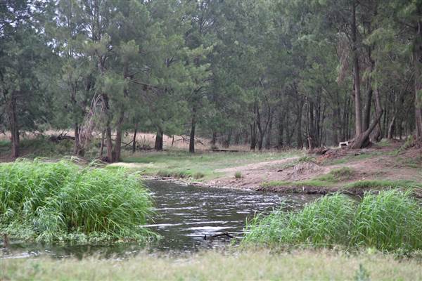 Yarramundi Reserve (17/07/2013)