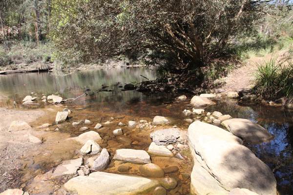 Georges River Nature Reserve (17/07/2013)