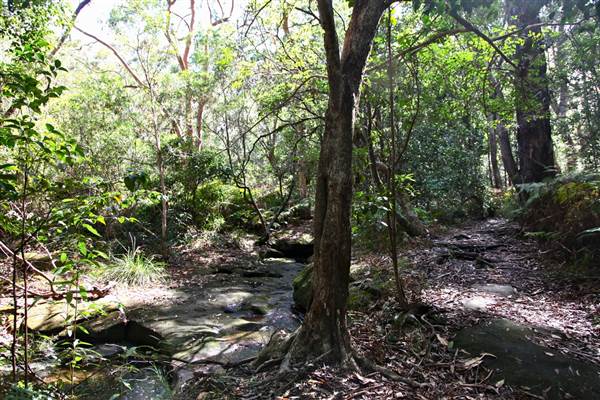 Warraroon Reserve (17/07/2013)