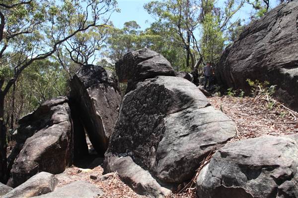 Ted Horwood Reserve (17/07/2013)