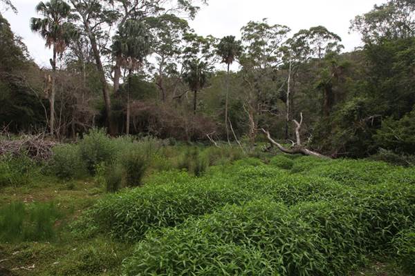 Narrabeen (17/07/2013)