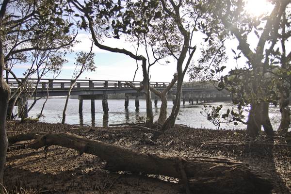 Ash Island Bridge (20/07/2013 - Credits: chris reynolds)