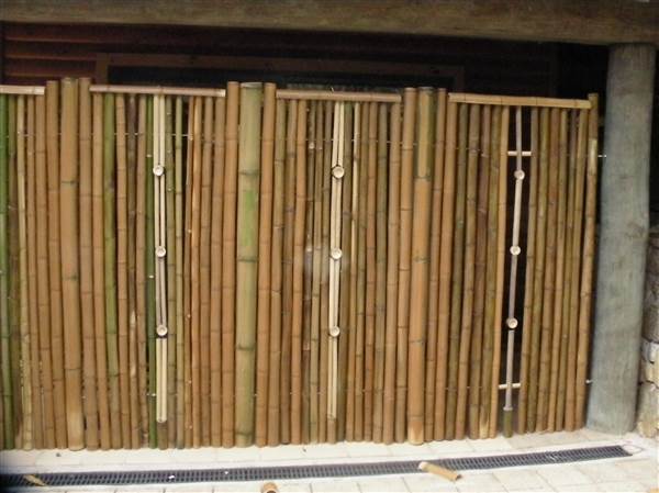 Private Properties - Bamboo, Jungle, Exotic, Forest (26/11/2013)
