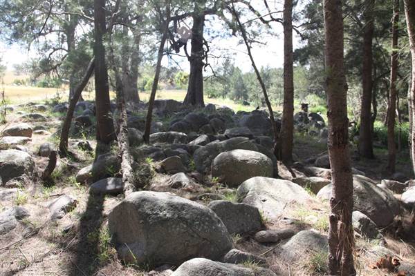 Coxs River - Glenroy Cabins and Camp Ground - Canon 5D (13/12/2012 - Credits: Luke Torrevillas)