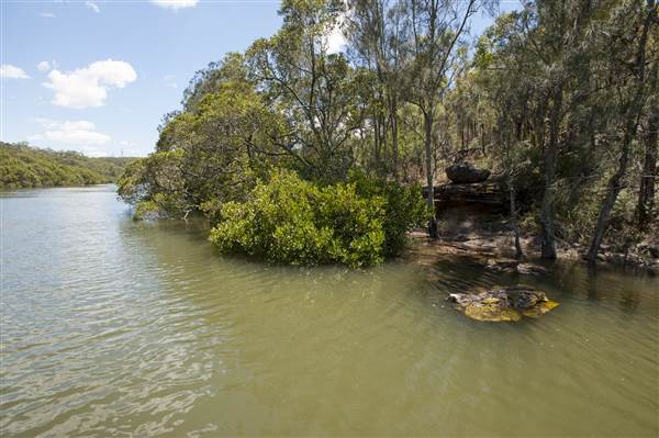 Georges River (5/12/2013)